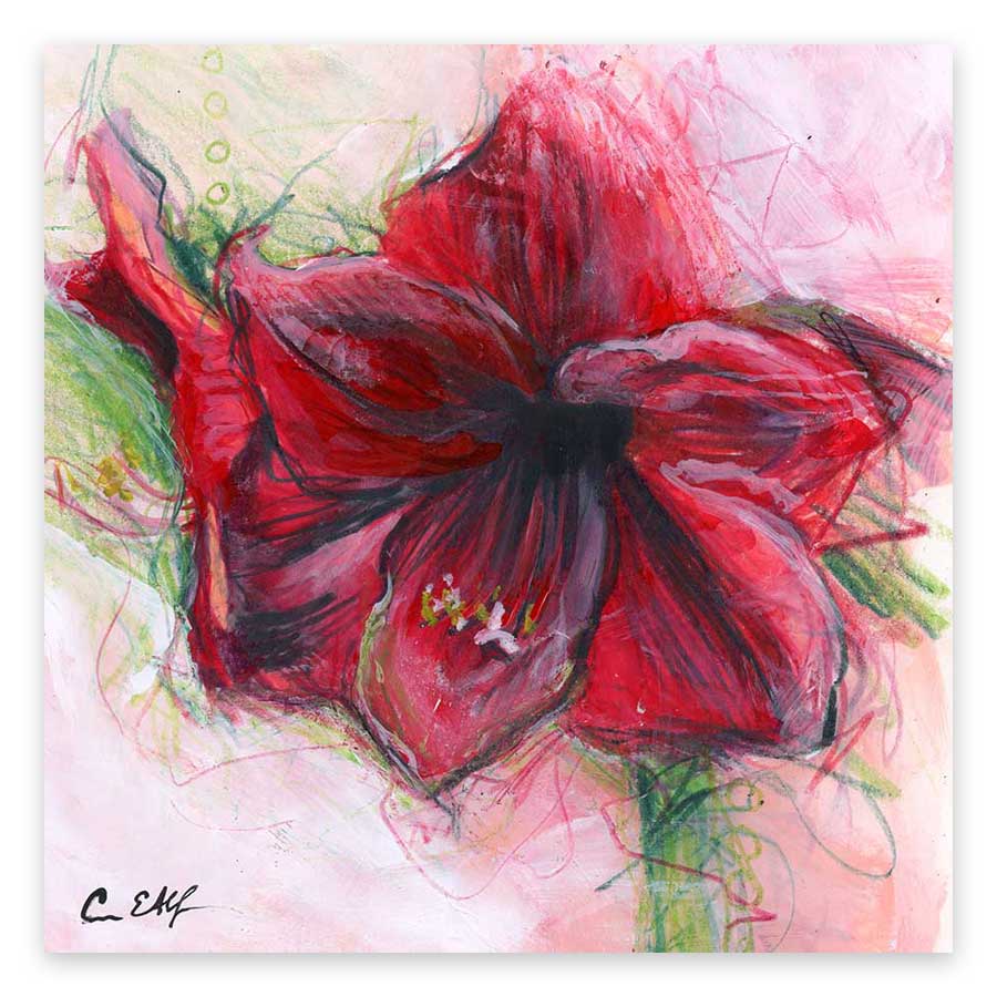 amaryllis-print