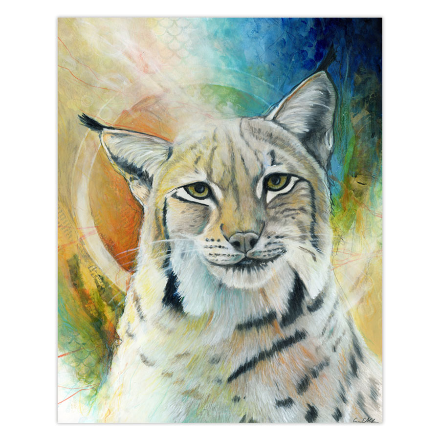autumn-bobcat-original