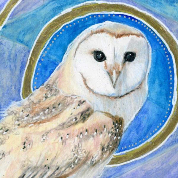 barn-owl-and-holly-close Barn Owl and Holly – Art Print