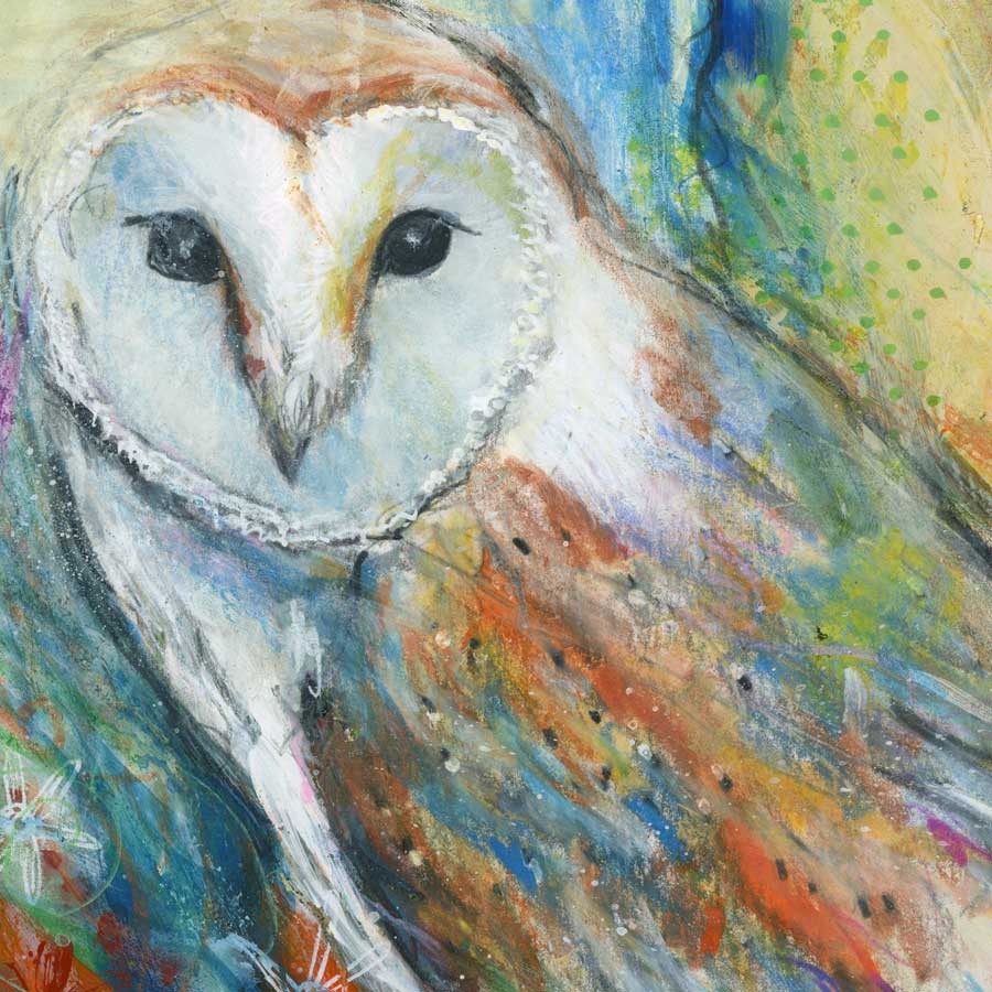 barn-owl-at-sunset-close