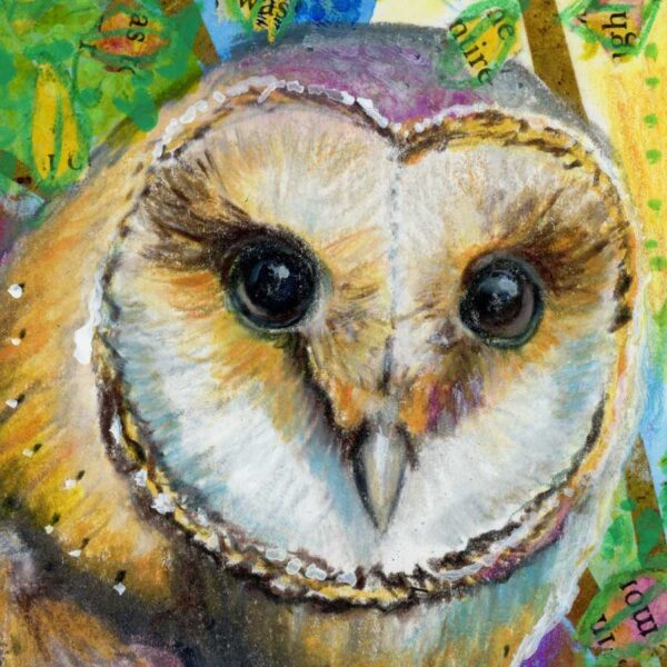 barn-owl-gazing-close Barn Owl Gazing – Art Print
