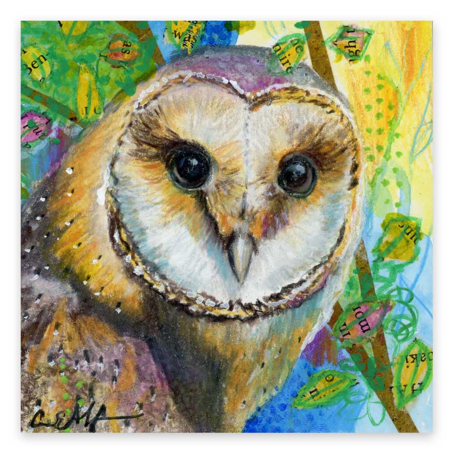 barn-owl-gazing-print