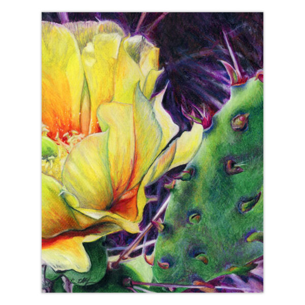 beauty-and-the-beast Beauty and the Beast - Original Art