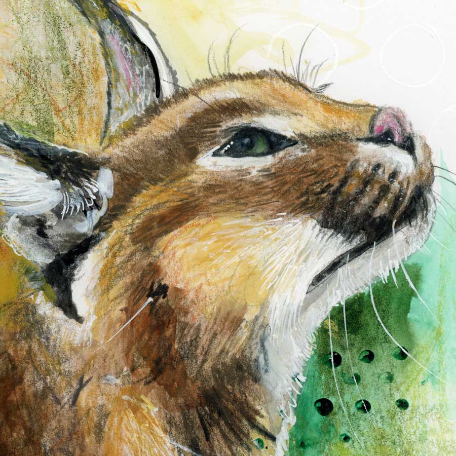 caracal-watching-close