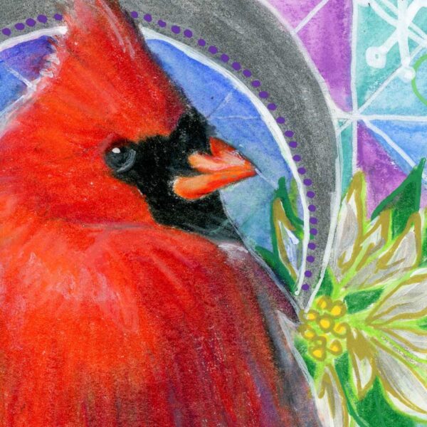 cardinal-in-white-poinsettias-close Cardinal in White Poinsettias – Art Print