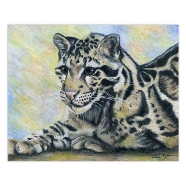 clouded-leopard Clouded Leopard - Original Art