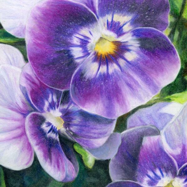 cuddle-close-close Cuddle Close – Art Print