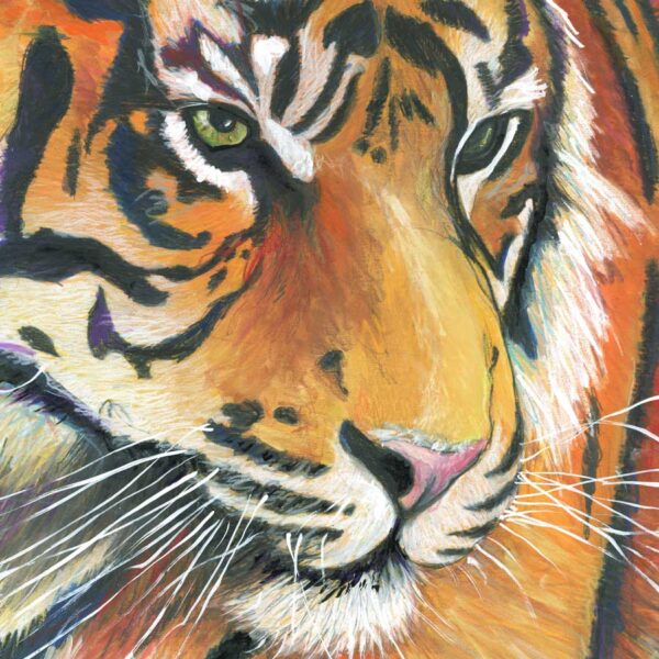 Eye of the Tiger – Art Print