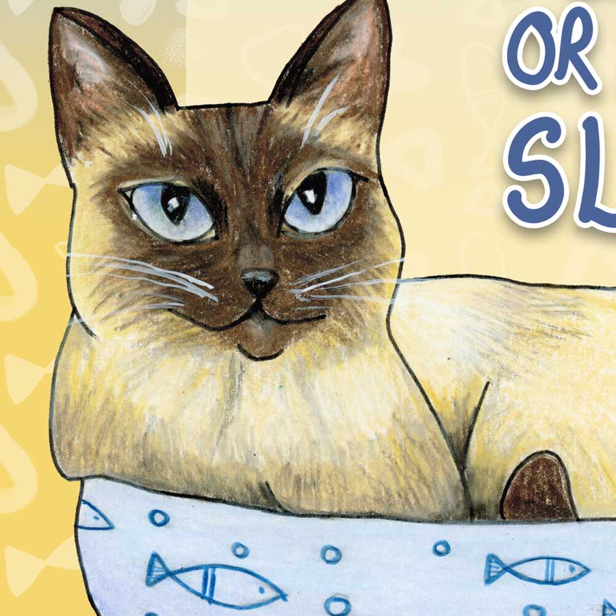 feed-me-or-nobdy-sleeps-close