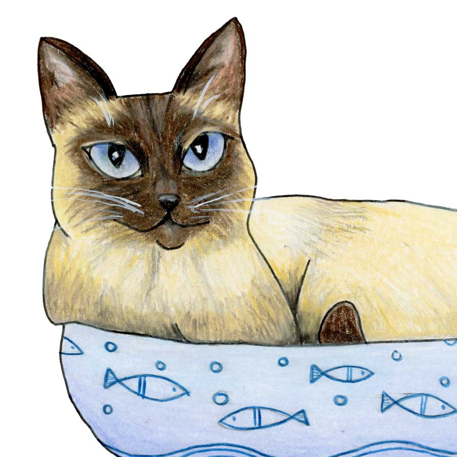 feed-me-or-nobody-sleeps-on-white-close