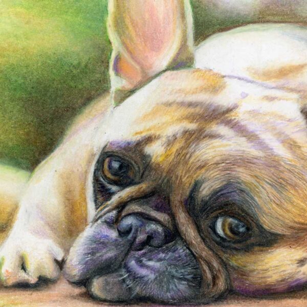 French Bulldog – Art Print