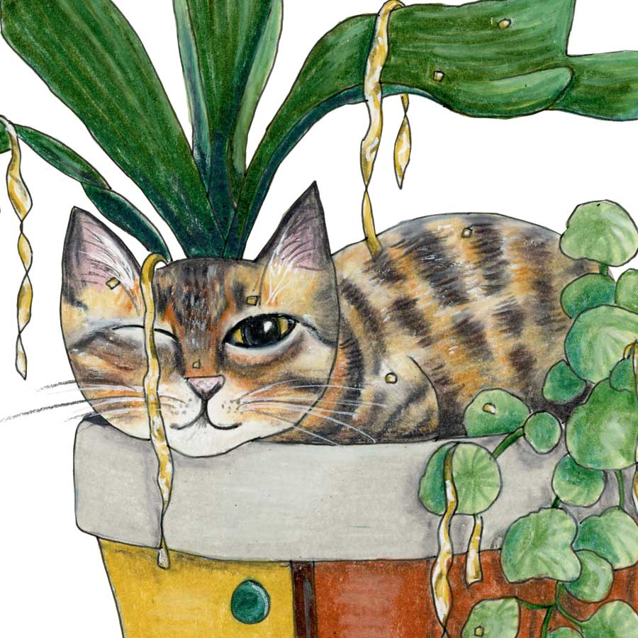 i-was-sleeping-close