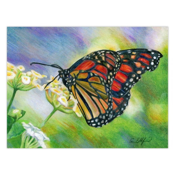 Monarch – Original Art