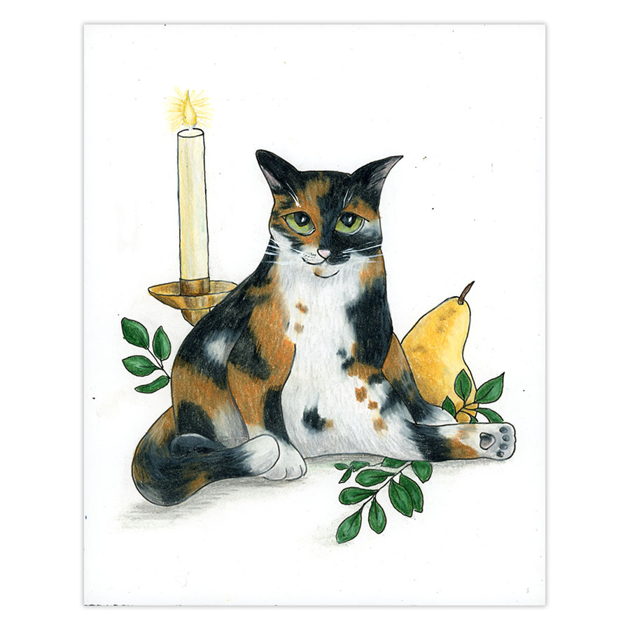 paws-and-give-thanks