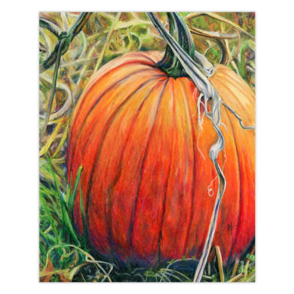 pick-me Pick Me – Original Art