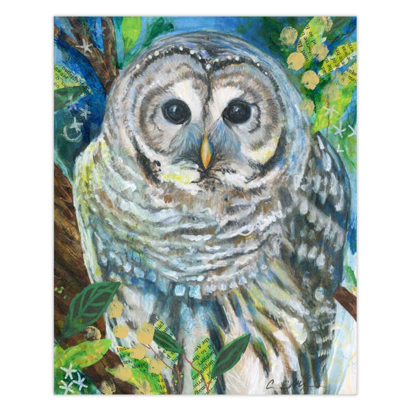 Spring Barred Owl – Original Art