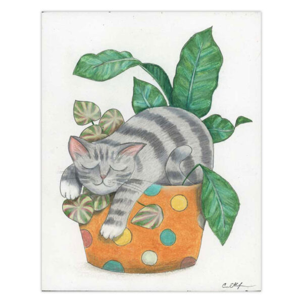 Zonked – Original Art